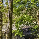 Vakantiehuis Chestnut Timber Keswick (Cumbria)