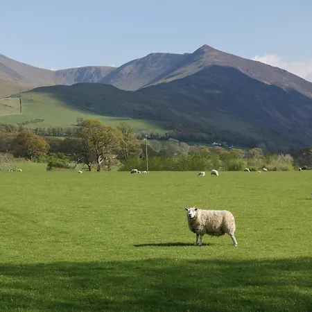Chestnut Timber Keswick (Cumbria)