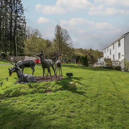 Chestnut Timber * Keswick (Cumbria)