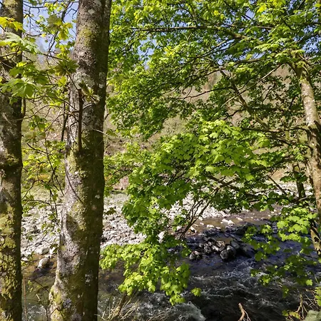 Holiday home Chestnut Timber Keswick (Cumbria)